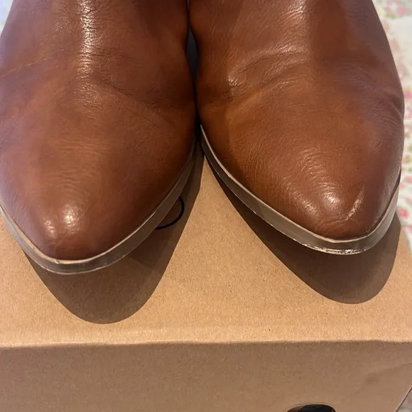 Coconuts by Matisse - Picture 6 of 6